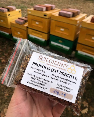 kit pszczeli - propolis 50g